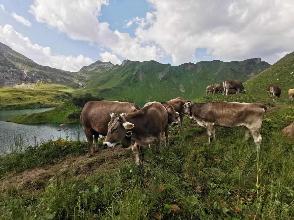 Ferienwohnung Wiesenblick Bad Hindelang Zewnętrze zdjęcie