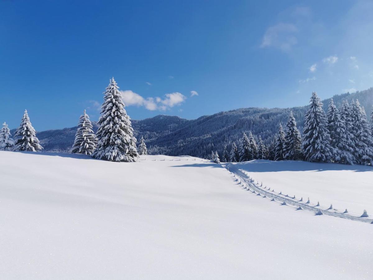 Ferienwohnung Wiesenblick Bad Hindelang Zewnętrze zdjęcie