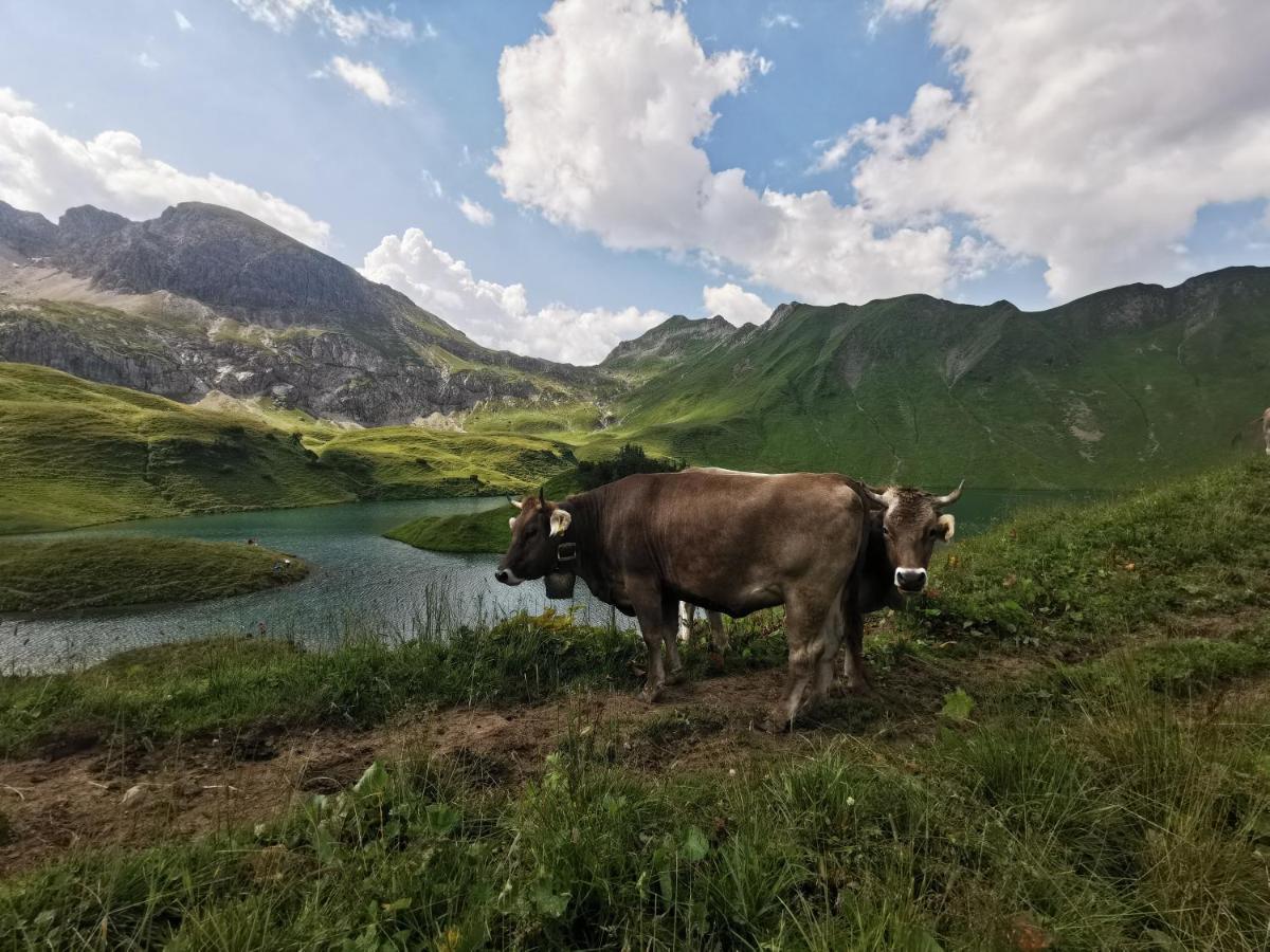Ferienwohnung Wiesenblick Bad Hindelang Zewnętrze zdjęcie